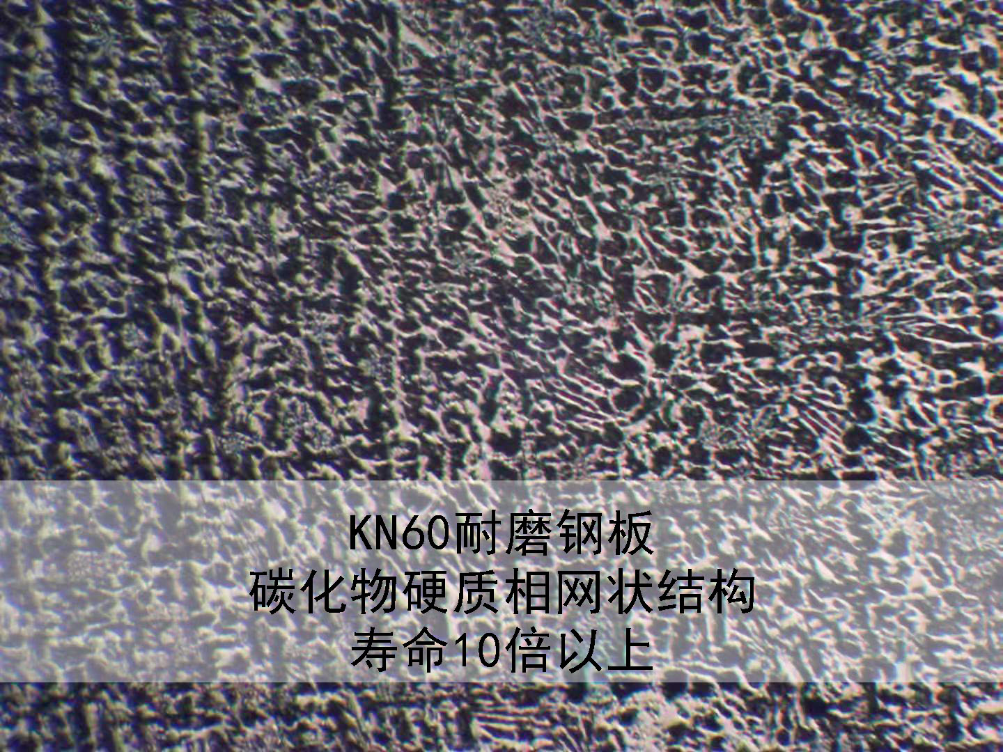 tĥͺ䓰KN60